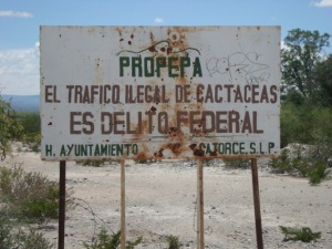 It's a federal crime to engage on "cactus trafficking"